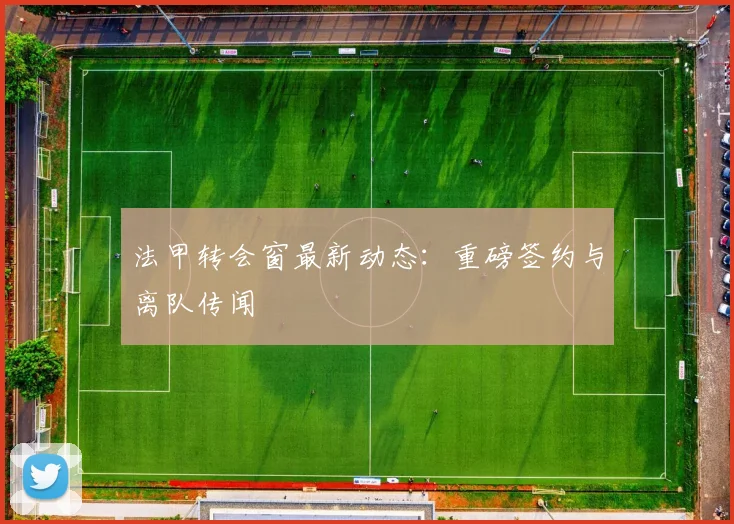 法甲转会窗最新动态:重磅签约与离队传闻