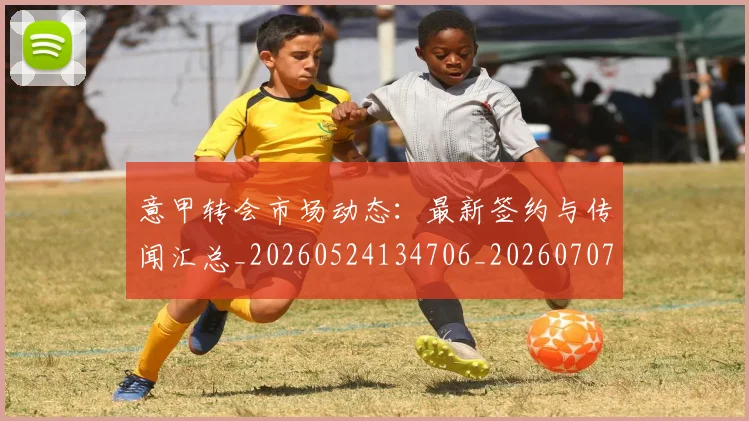 意甲转会市场动态：最新签约与传闻汇总_20260524134706_20260707012957_20260723180911