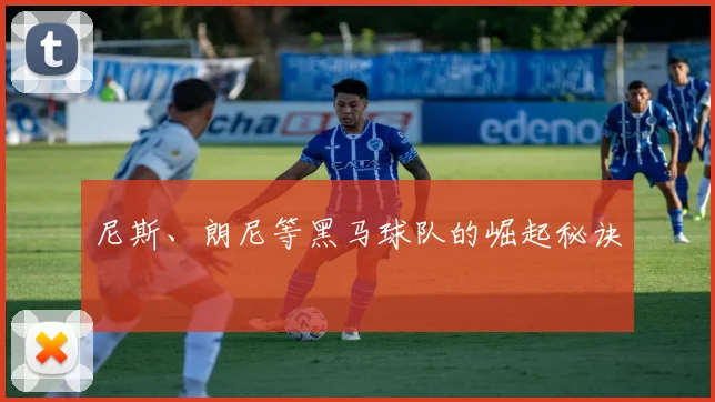 尼斯、朗尼等黑马球队的崛起秘诀