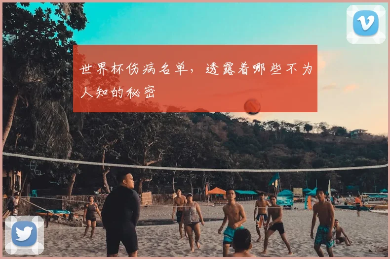世界杯伤病名单,透露着哪些不为人知的秘密