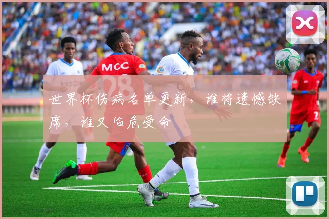 世界杯伤病名单更新,谁将遗憾缺席,谁又临危受命